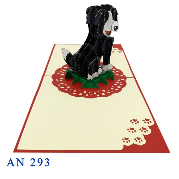 Border Collie Dog Pop Up Card