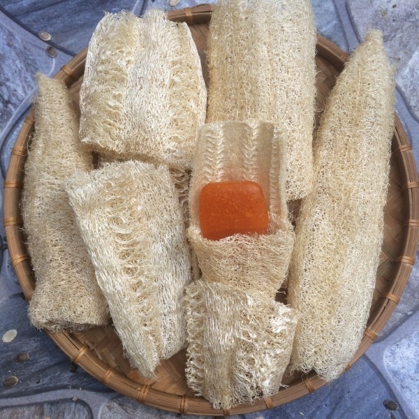 SPONGE LOOFAH LOOFAH NATURAL EXFOLIATING BLEACHED LUFFA