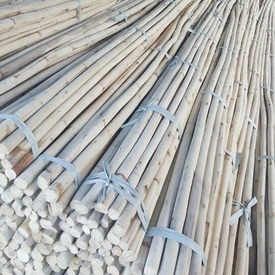FLEXIBLE RATTAN CANE POLE