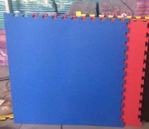 Thảm tập và thi đấu võ