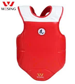 Áo giáp võ thuật