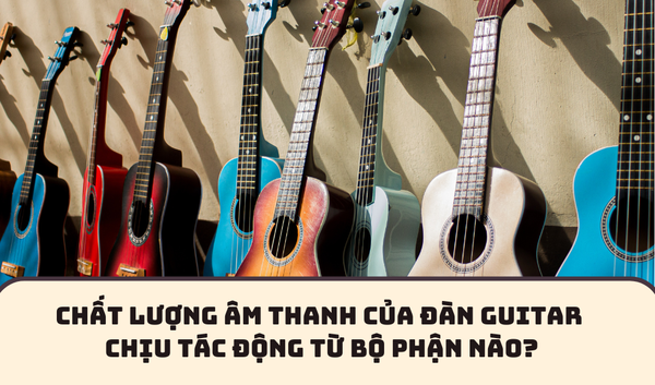 CHẤT LƯỢNG ÂM THANH CỦA ĐÀN GUITAR CHỊU TÁC ĐỘNG TỪ BỘ PHẬN NÀO? | SAY GUITAR