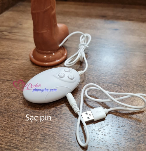 cu-gia-gan-tuong-rung-thut-suoi-am-dv78-3
