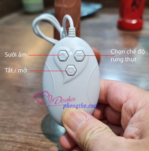 cu-gia-gan-tuong-rung-thut-suoi-am-dv78-5