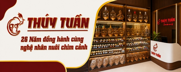 Cửa hàng cám chim thúy tuấn