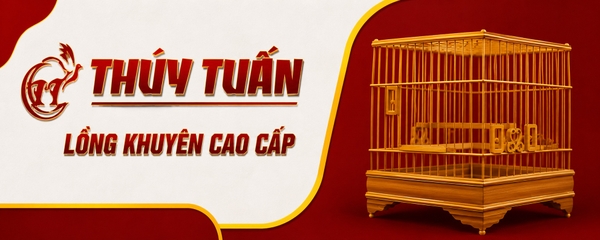 Lồng chim thúy tuấn