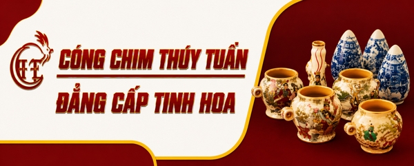 Cóng chim thúy tuấn