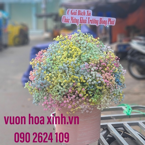 Ngày mới - HHG1022