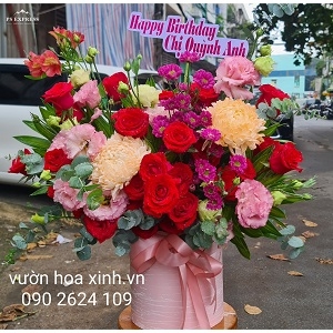 Xinh tươi - HHG1005