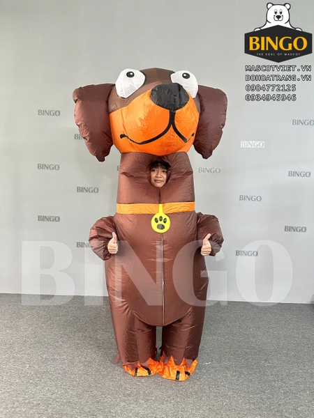 ubanpalza.bizwebvietnam.net