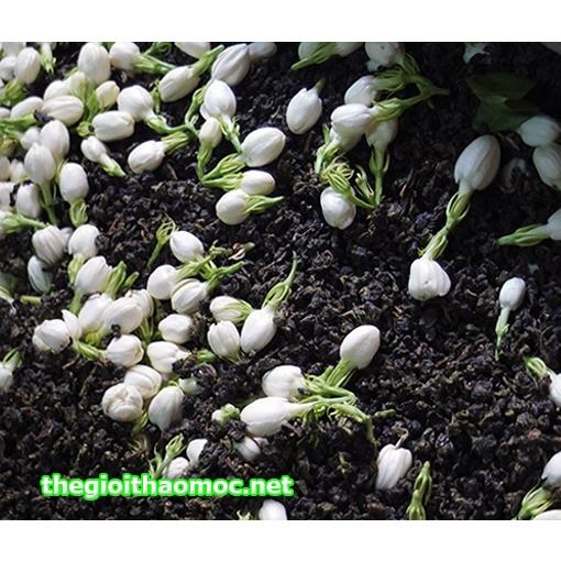 Trà Hoa Lai - Thức Uống Thơm Ngon Bổ Dưỡng Từ Thiên Nhiên