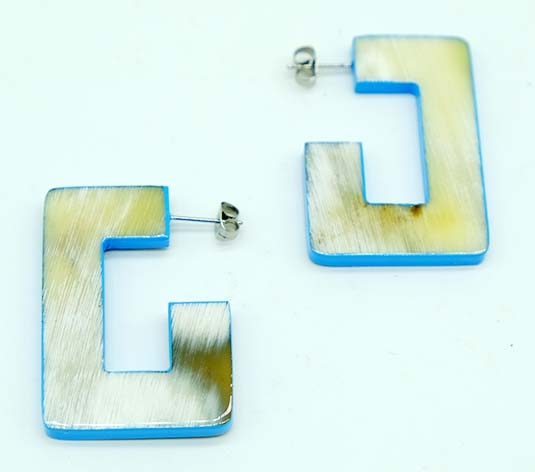 Horn earrings