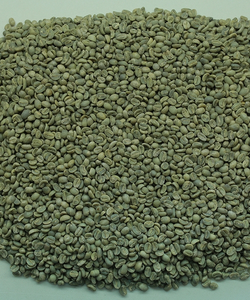 robusta-washed