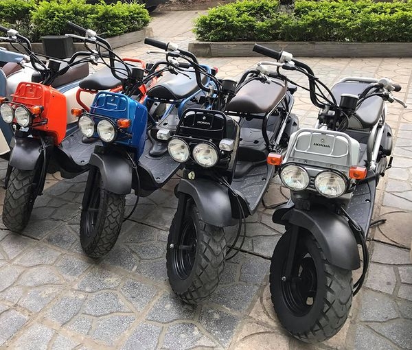 Honda Zoomer 50cc  Axega