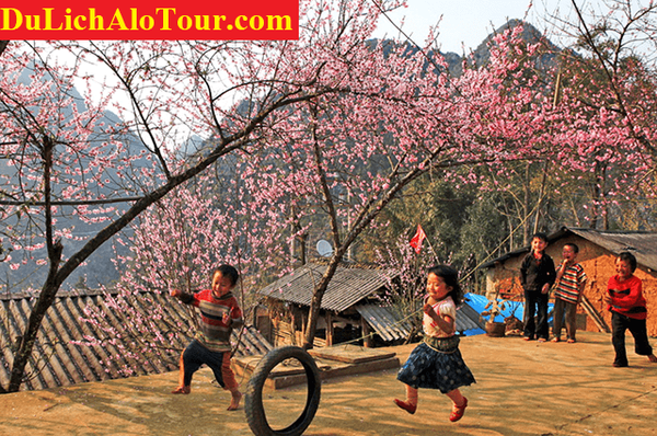 chương trình Tour du lịch Hải Phòng Sapa (3 ngày 2 đêm)