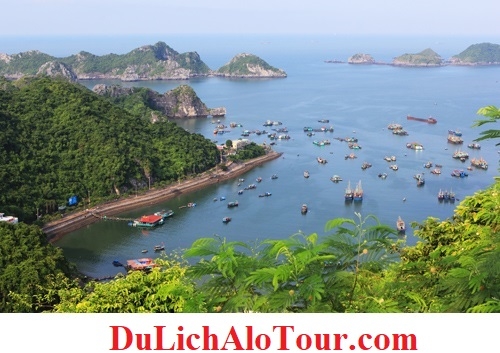 Video giới thiệu chương trình Tour du lịch Hải Phòng Cát Bà (2 ngày 1 đêm)