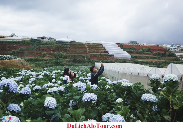 Video giới thiệu chương trình Tour du lịch Hải Phòng Đà Nẵng (7 ngày 6 đêm)