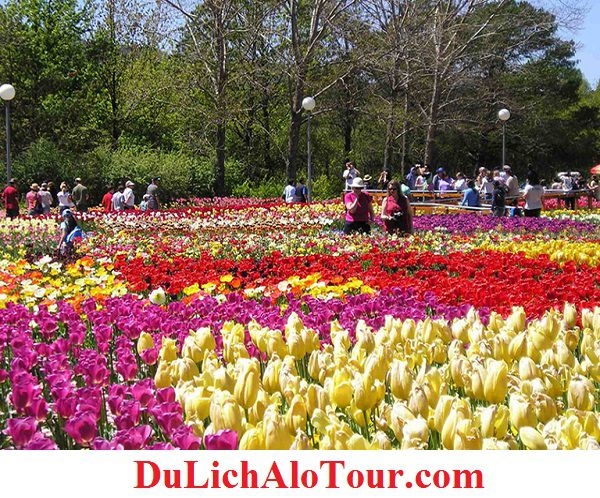 chương trình Tour du lịch Hải Phòng Đà Nẵng (9 ngày 8 đêm)