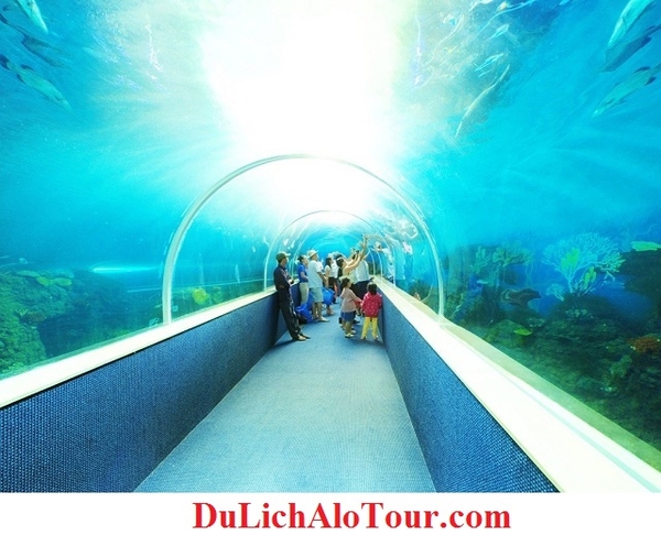 chương trình Tour du lịch Hải Phòng Phú Quốc (4 ngày 3 đêm)