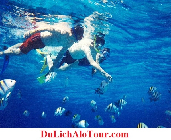 Tour Hải Phòng Phú Quốc giá rẻ