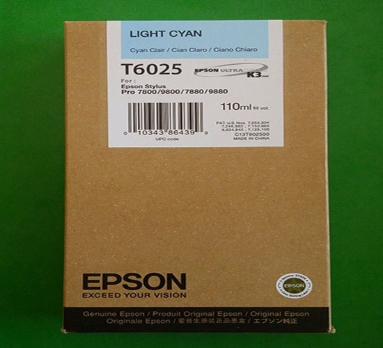 Hộp mực in phun màu Epson C13T602500