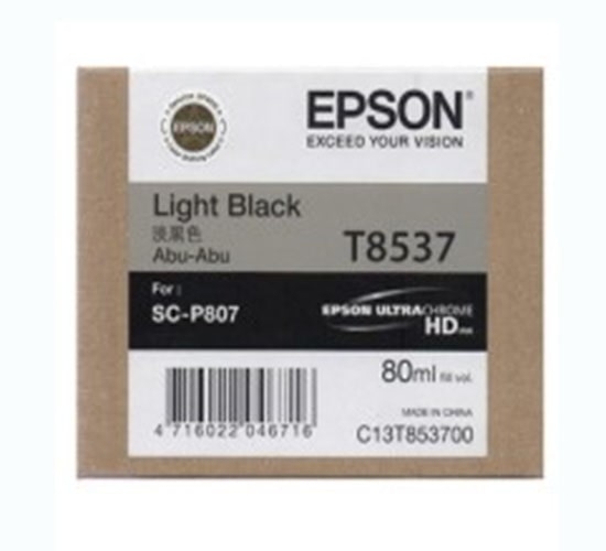 Hộp mực in phun màu Epson C13T853700