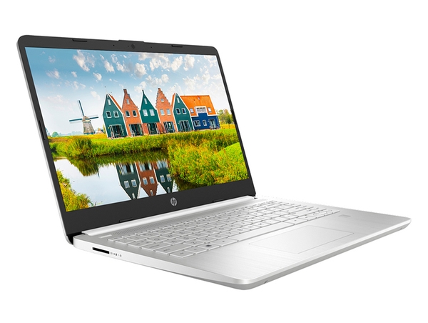 Máy tính Notebook HP 14s-dq1100TU (193U0PA) - Bạc