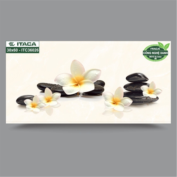 GẠCH ỐP 30x60 ITACA: ITC36026