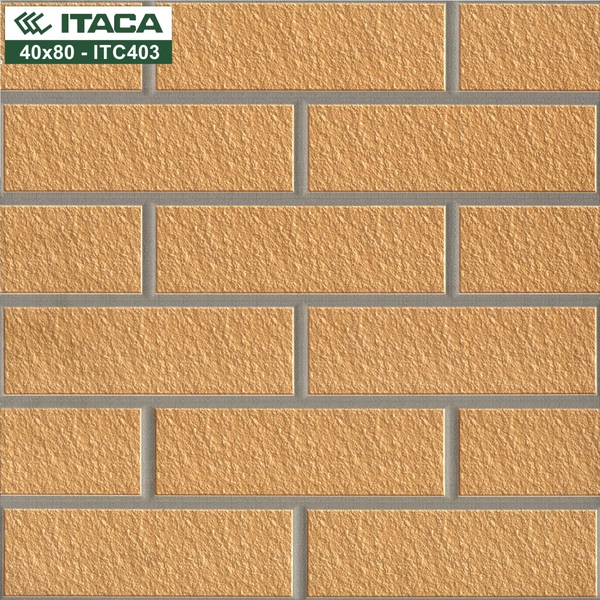 GẠCH LÁT SV 40x40: ITC403