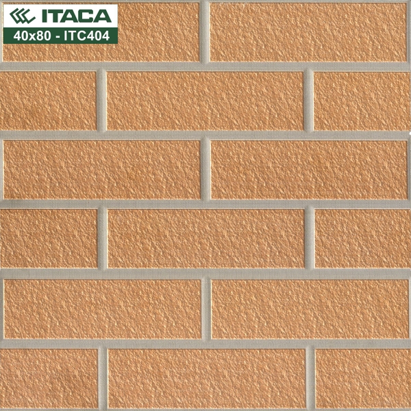 GẠCH LÁT SV 40x40: ITC404