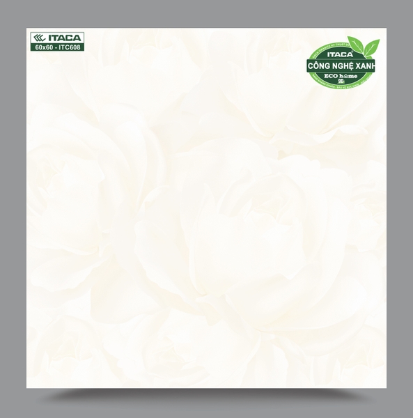 GẠCH LÁT ITACA ITC608