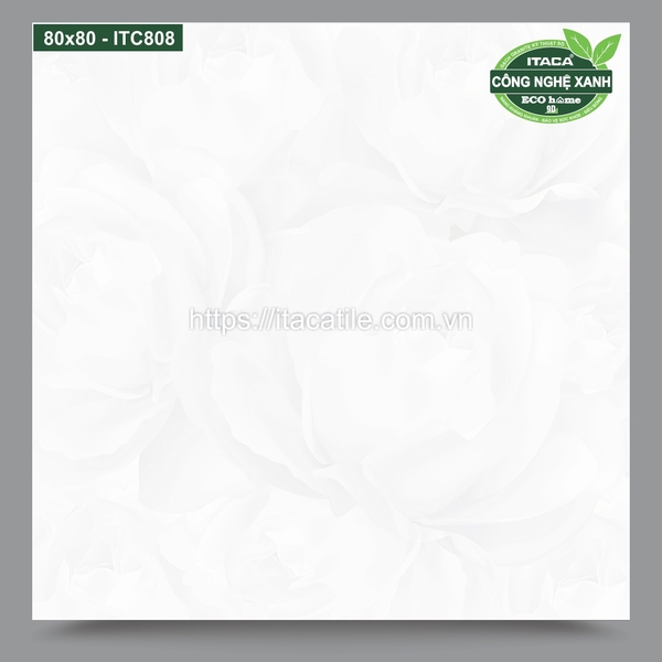 GẠCH LÁT 80x80 ITC807