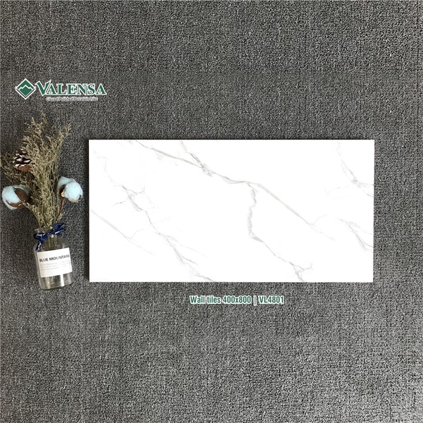 GẠCH ỐP 40X80: VL4801