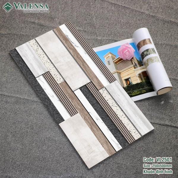 GẠCH ỐP TRANG TRÍ: VL2501