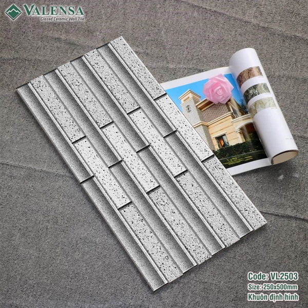 GẠCH ỐP TRANG TRÍ: VL2503