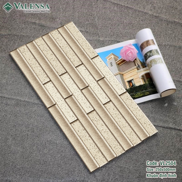 GẠCH ỐP TRANG TRÍ: VL2504