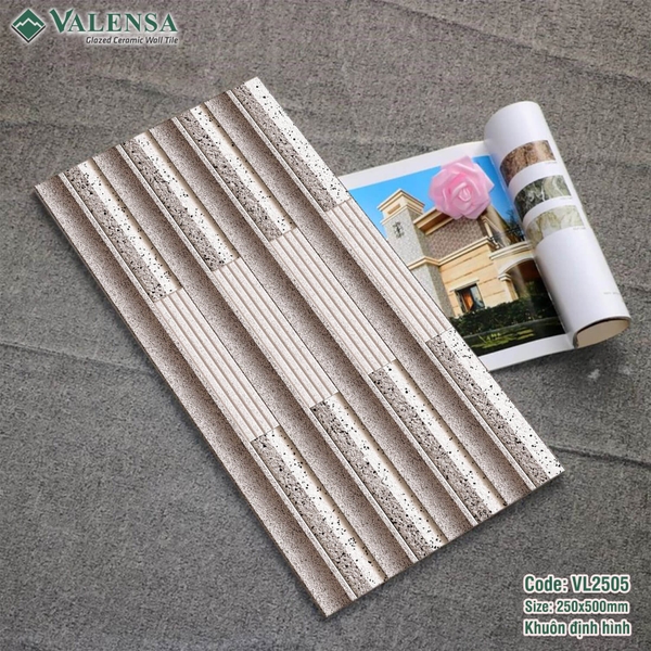 GẠCH ỐP TRANG TRÍ: VL2505