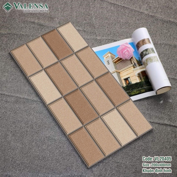 GẠCH ỐP TRANG TRÍ: VL20405