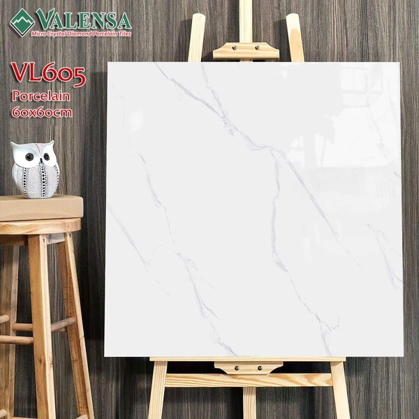 GẠCH LÁT NỀN 60X60: VL605