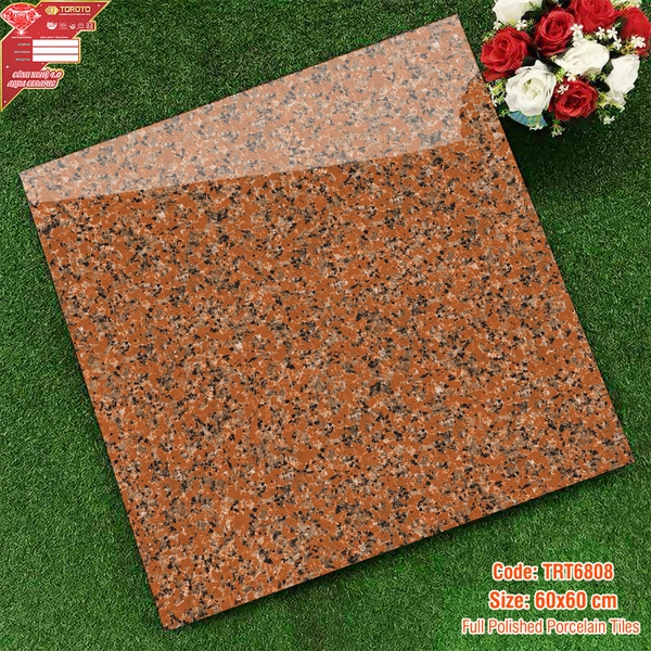 Gạch lát nền 60x60: TRT6808