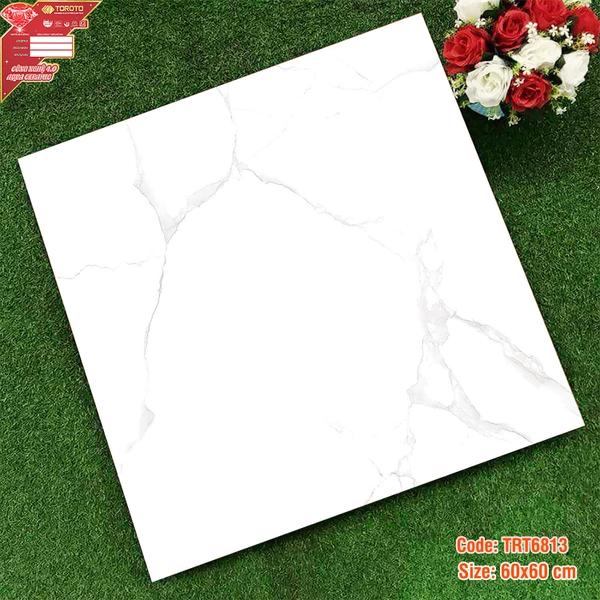 Gạch lát nền 60x60: TRT6813