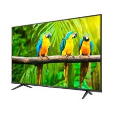 Smart Tivi Android TCL 4K 55 inch 55T65