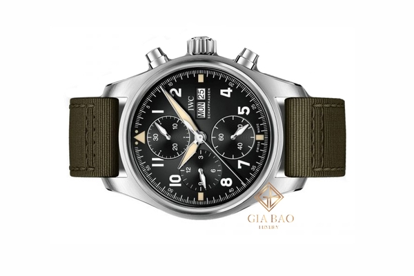 Đồng Hồ IWC Pilot's IW387901