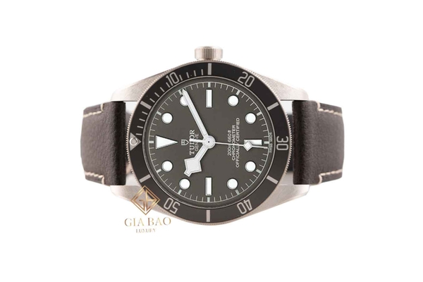 Đồng Hồ Tudor Black Bay Fifty-Eight 79010SG-0001