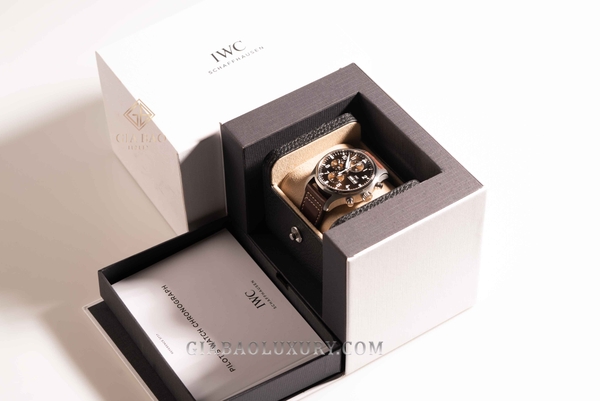 Đồng Hồ IWC Pilots IW377713