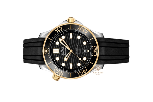 Đồng Hồ Omega Seamaster CO‑AXIAL 210.22.42.20.01.001