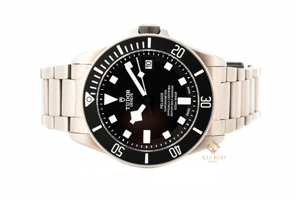 Đồng hồ Tudor Pelagos Black Dial Titanium 25600TN