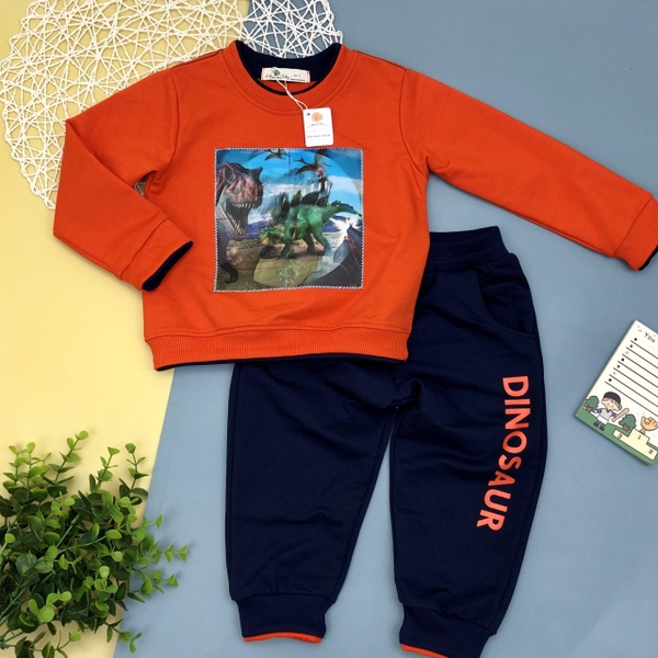 Bộ nỉ da cá thu đông đính hình khủng long 3D dài tay bé trai size 1-8T.X20