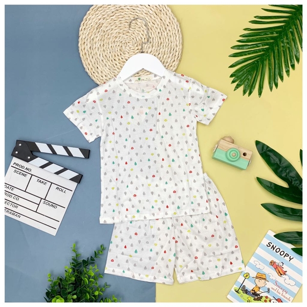 Bộ cotton giấy 2/6*21