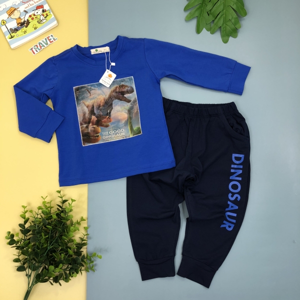 Bộ cotton thu đông khủng long 3D dài tay bé trai size 1-8T.X20